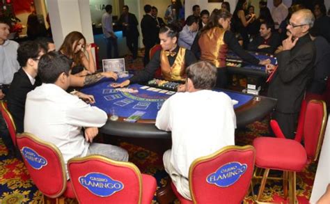 Wdsukses casino Bolivia